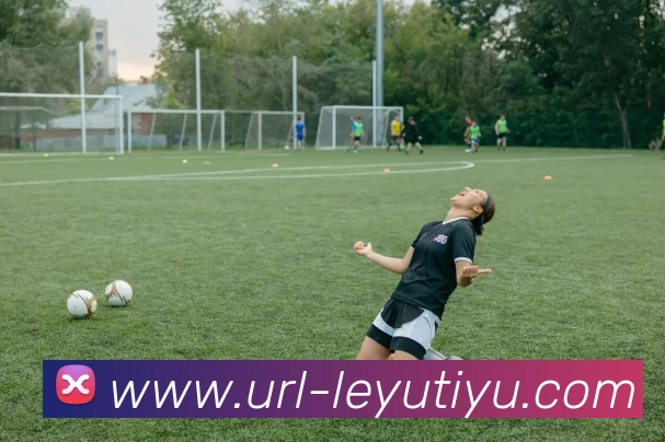 乐鱼体育发展历程